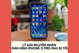 Lý giải nguyên nhân màn hình iPhone 12 Pro Max bị tối