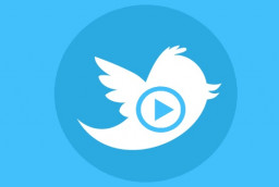 Tất tần tật cách tải video trên Twitter về điện thoại và máy tính nhanh chóng