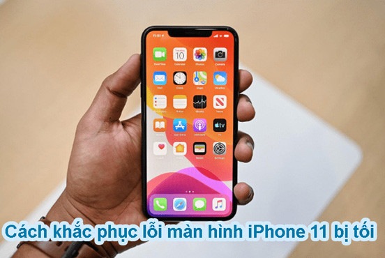 Tại sao màn hình iPhone 11 bị tối và cách xử lý hiệu quả nhất