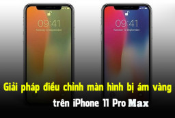 Màn hình iPhone 11 Pro Max bị vàng, làm sao khắc phục nhanh nhất?