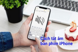 Hướng dẫn cách tắt âm bàn phím iPhone mới nhất 2022