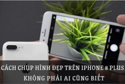 ​​​​​​​Các cách chụp hình đẹp trên iPhone 8 Plus không phải ai cũng biết