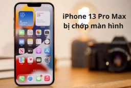 ​​​​​​​8 cách khắc phục lỗi màn hình iPhone 13 Pro Max chớp tắt liên tục 