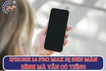 Cách khắc phục iPhone 14 Pro Max bị đen màn hình mà vẫn có tiếng