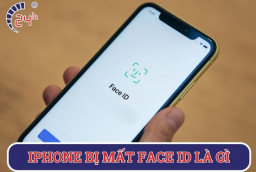 iPhone bị mất Face ID là gì? Nguyên nhân và cách xử lý