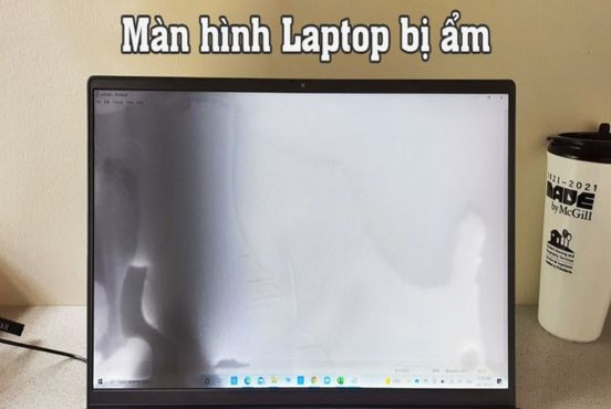 Màn hình laptop bị ẩm: Nguyên nhân và cách xử lý