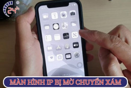 Cách khắc phục màn hình iPhone bị mờ chuyển xám hiệu quả