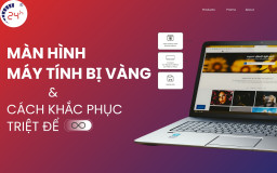 Màn hình máy tính bị vàng | Cách khắc phục TRIỆT ĐỂ