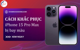 iPhone 15 Pro Max bị bay màu: Nguyên nhân và cách khắc phục HIỆU QUẢ