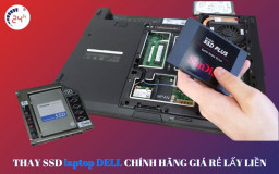 Nâng cấp, thay SSD laptop Dell CHÍNH HÃNG LẤY LIỀN