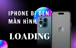 Mẹo sửa lỗi iPhone bị đen màn hình xoay vòng loading chỉ trong 5 phút