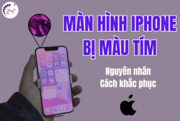 Màn hình iPhone bị màu tím: Nguyên nhân & Cách khắc phục