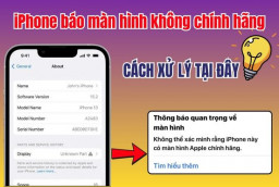 Khắc phục lỗi iPhone báo màn hình không chính hãng HIỆU QUẢ