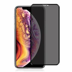 Miếng dán cường lực iPhone X chống nhìn trộm