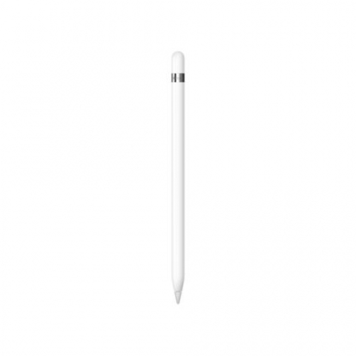 Thay vỏ Apple Pencil 1