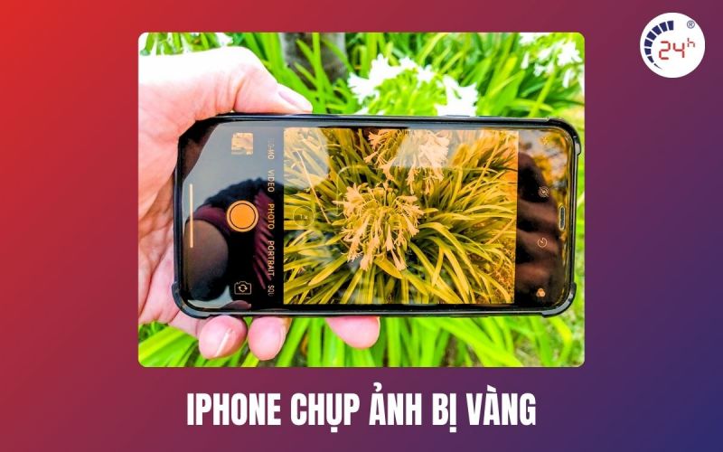 iphone chụp ảnh bị vàng