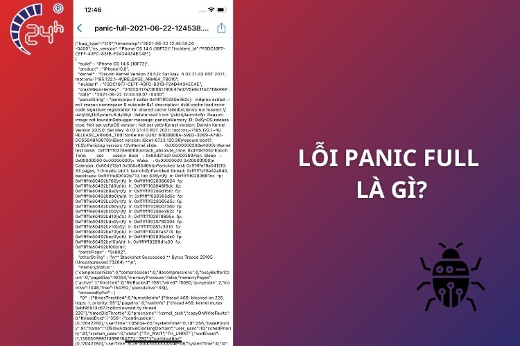 lỗi panic full iphone là gì