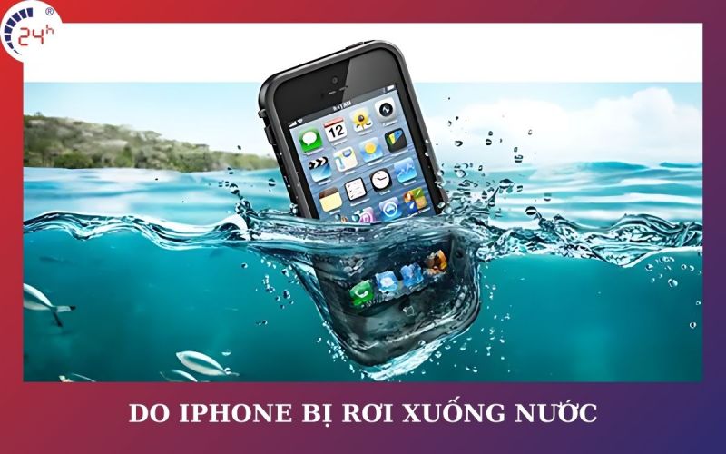 Do iphone bị rơi xuống nước