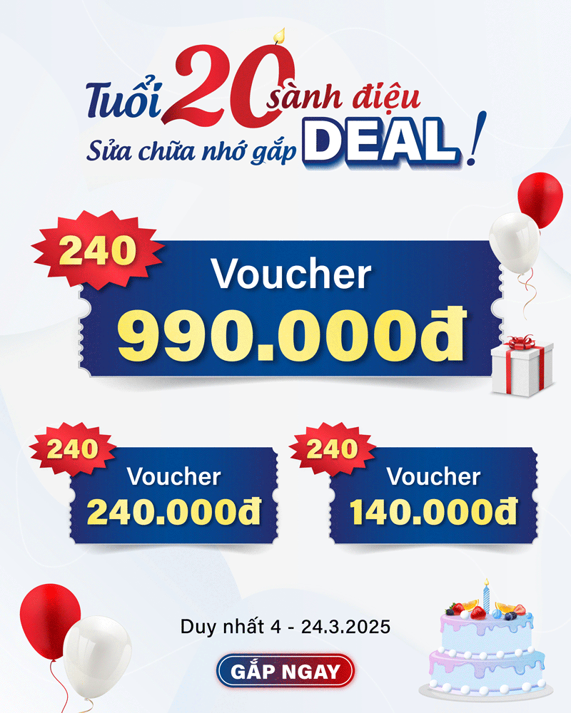24h mừng 20 tuổi