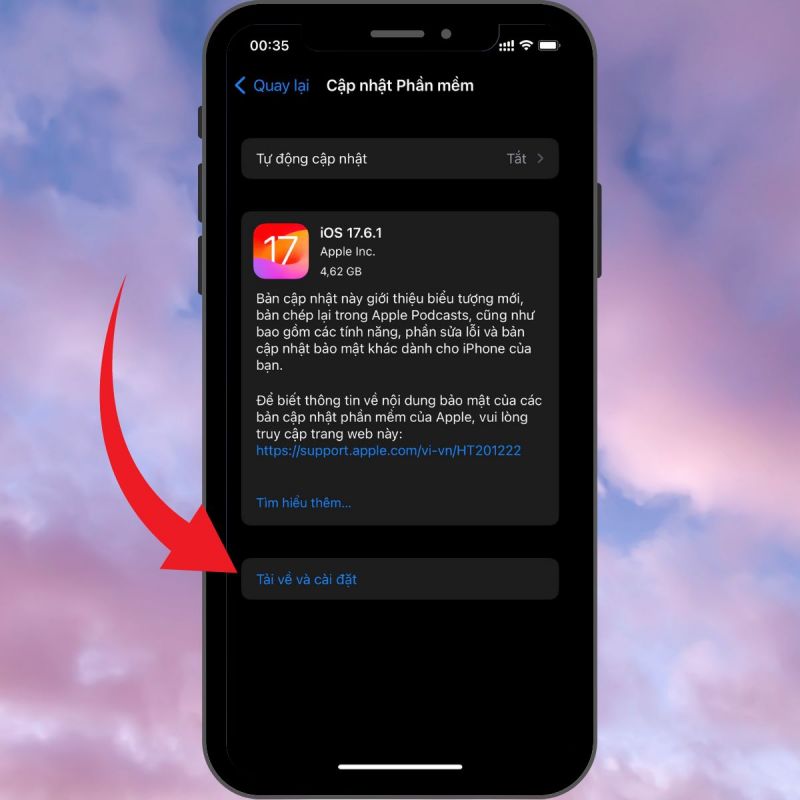 cach-kiem-tra-man-hinh-iphone-da-thay-chua-8