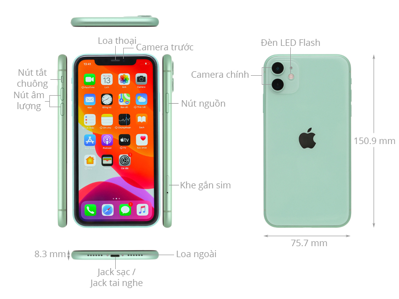 iPhone 11 256GB Cũ