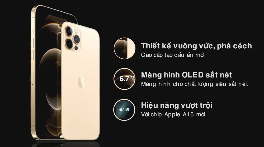 iPhone 12 Pro Max 512GB Cũ