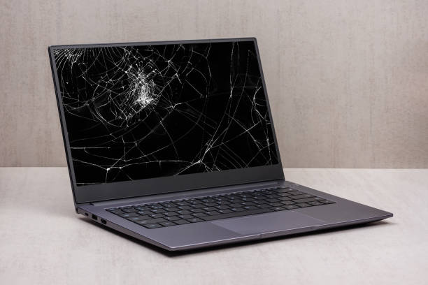 Thay màn hình laptop Dell Vostro 15 inch 3500