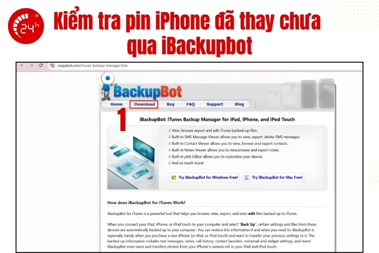 Kiểm tra pin zin iPhone qua phần mềm iBackupbot B1