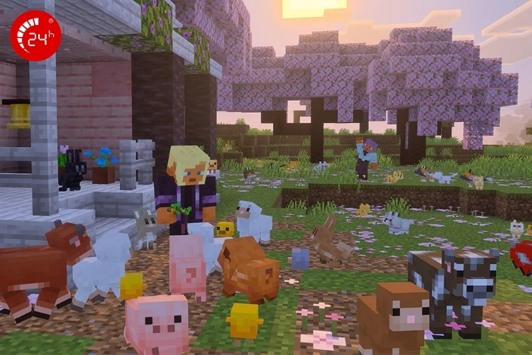 Tom Set lệnh chủ Town Minecraft