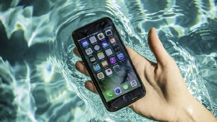Xử lý loa iPhone 8 Plus bị vào nước