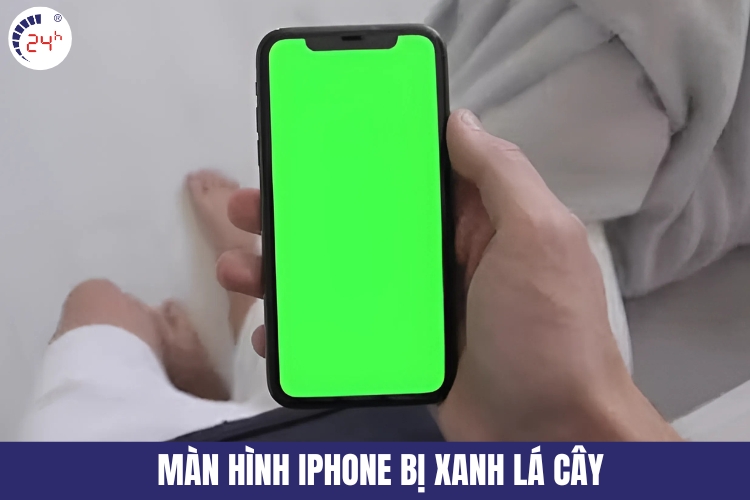 Màn hình iPhone bị xanh lá cây 