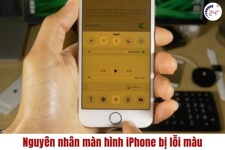 nguyên nhân màn hình iPhone bị lỗi màu