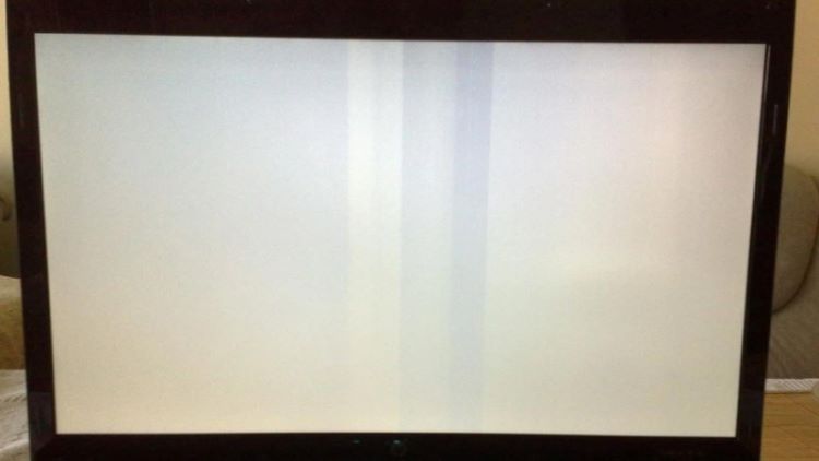 Màn hình laptop Dell bị trắng xóa