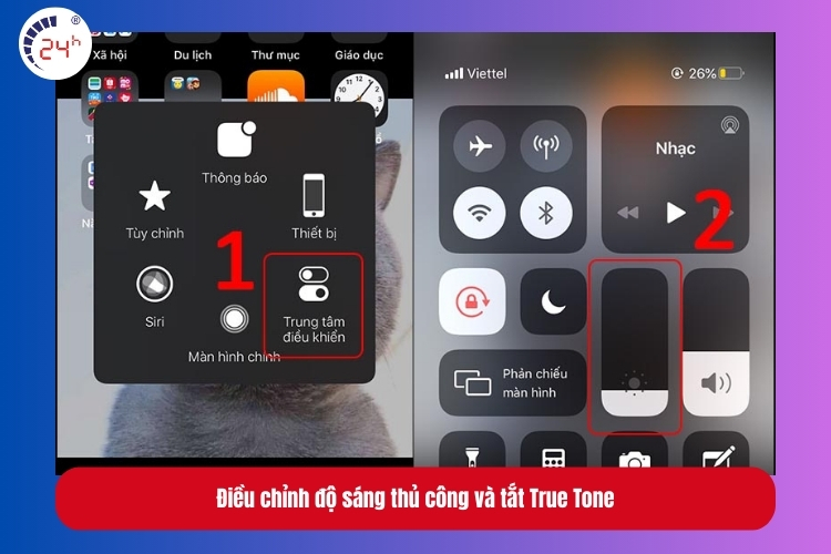 Điều chỉnh độ sáng thủ công và tắt True Tone