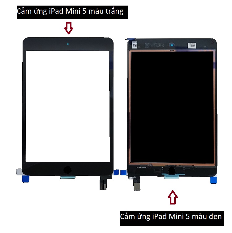 màn hình iPad Mini 5 