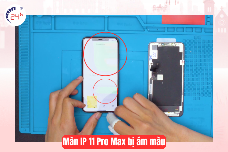 Thay màn hình iphone 11 pro max bị ám màu