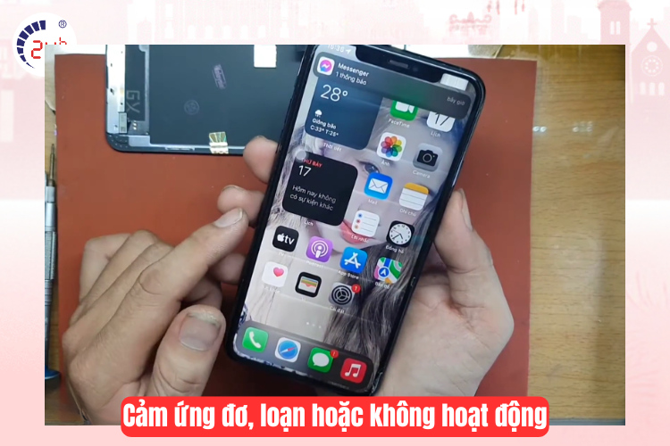 Thay màn hình iphone 11 pro max bị đơ màn hình