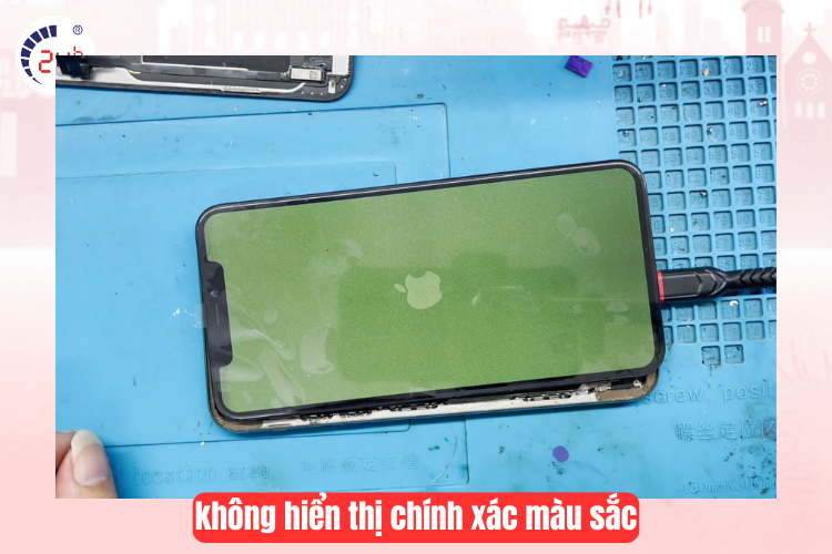 Thay màn hình iphone 11 pro max bị sai lệch màu sắc