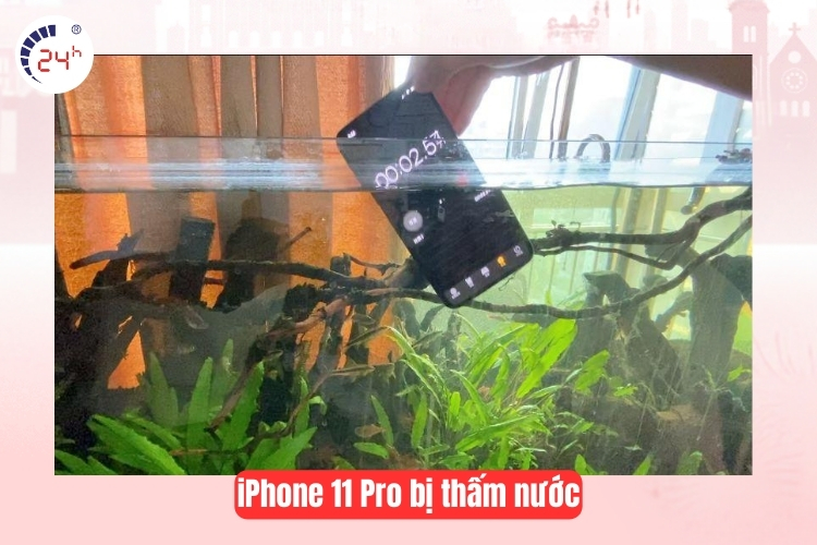 iPhone 11 Pro bị thấm nước
