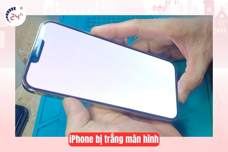 Màn hình iPhone 13 Pro Max bị trắng