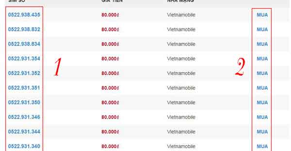 mua sim 4G Vietnamobile giao tận cửa nhà hình 1