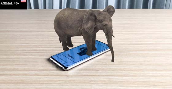 Hướng dẫn tạo biểu tượng Animal 4D+: Biết bò, biết kêu thú vị trên iOS/Android