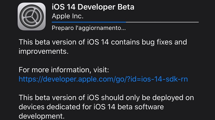 Cài iOS 14 beta 1 