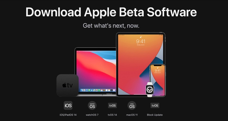 Bản nâng cấp iOS 14 và iPadOS 14