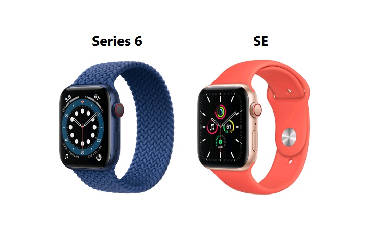 Apple Watch Series 6 và Apple Watch SE đều được thiết lập cảm biến tim quang học